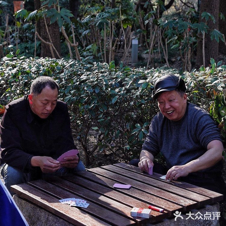 街头随拍｜华山绿地｜闹市区里的街心公园