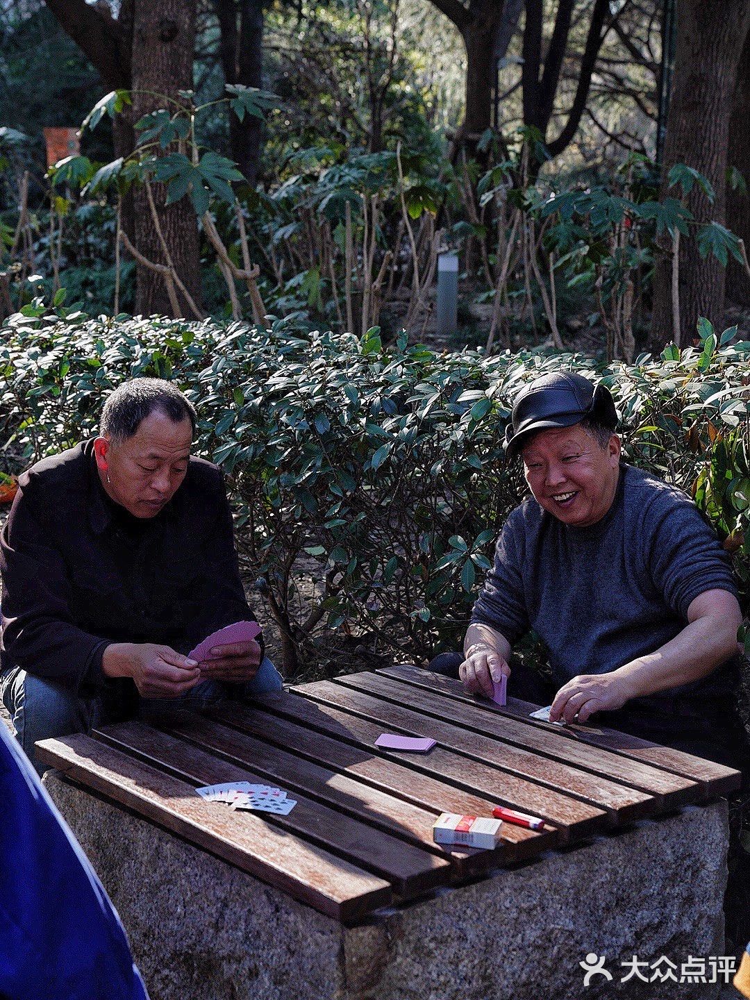 街头随拍｜华山绿地｜闹市区里的街心公园