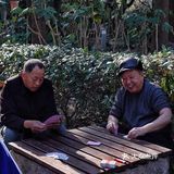 街头随拍｜华山绿地｜闹市区里的街心公园
