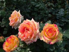 -人民公园(罗湖区)