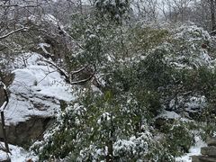 -秦岭终南山世界地质公园翠华山景区