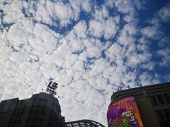 -上海置地广场(南京东路店)