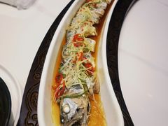 -新农家菜(浏河店)