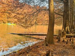 -上海海湾国家森林公园