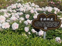 -洛阳市隋唐城遗址植物园