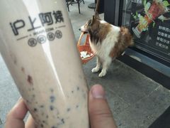 -沪上阿姨·精选茶饮(唐山新街北口店)