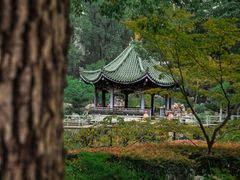 -华山儿童公园