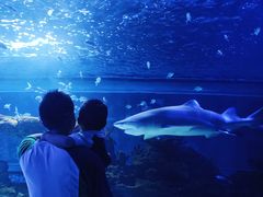 -常州海昌海洋探索馆