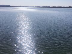 -丁香湖公园
