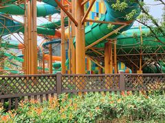 -杭州开元森泊度假乐园