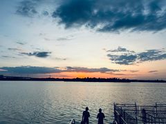-丁香湖公园