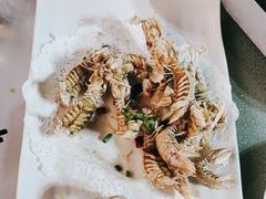 -舌尖上·霞浦滩涂海鲜·新闽菜(总店)