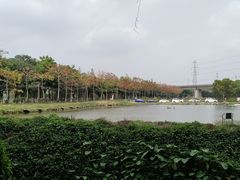 -滴水岩森林公园
