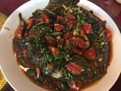 -生态苑农庄(十里画廊遇龙河店)