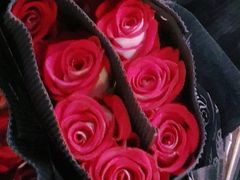 -循礼门鲜花花市(武汉循礼门店)