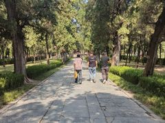 -中岳庙