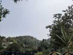 -西双版纳原始森林公园
