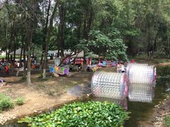 -长白岛森林公园