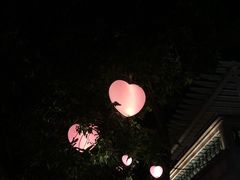 -王借岗森林公园