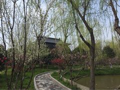 南汇桃花村-南汇桃花村
