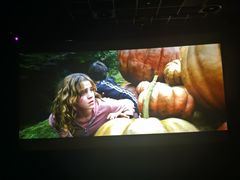 -百美汇影城(LUXE嘉里中心店)