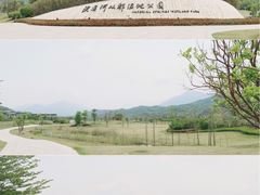 -广州市石门国家森林公园