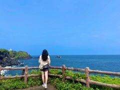 -涉地可支