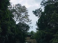 -灵谷景区