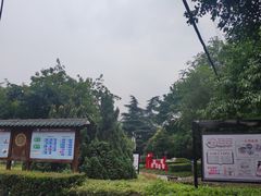 -神仙树公园