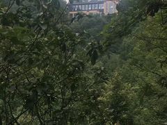 -南山植物园