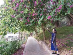 -南国桃园旅游度假区