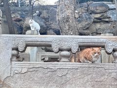 -潭柘寺景区