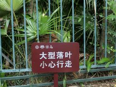 -鼓浪屿钢琴博物馆