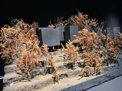 -上海当代艺术博物馆