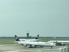 -上海浦东国际机场-T2航站楼