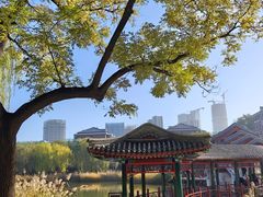 -西海子公园