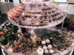 -KKV(深圳kk one 店)