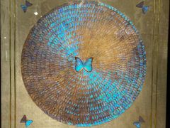 -上海昆虫博物馆