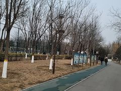 -回龙观体育文化公园