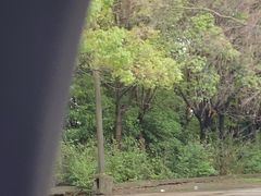 -胜华驾校·小猫学车(银都店)