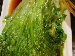 白灼生菜-蓝记茶餐厅(勒泰店)