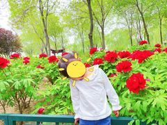 -石家庄市植物园