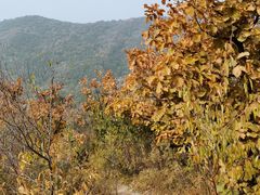 -北京十三陵国家森林公园蟒山景区