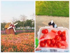 -广东花都香草世界旅游度假区