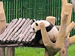 -沈阳森林动物园