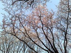 -北京明城墙遗址公园