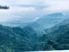 -梦幻奥陶纪景区