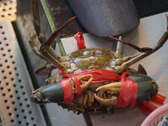 -旅南活海鲜-屏东(墾丁海鮮，海鮮餐廳，墾丁團體合菜，平價熱炒，墾丁熱炒店，活海鮮推薦，在地海鮮餐廳)