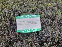 -白塘生态植物园