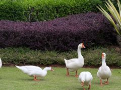 -厦门国家会计学院